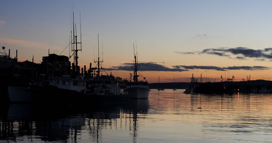 Gloucester Harbor