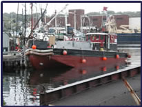Capt. Dave's