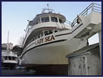 Dry Dock