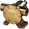 Bronze Pedestal Pump